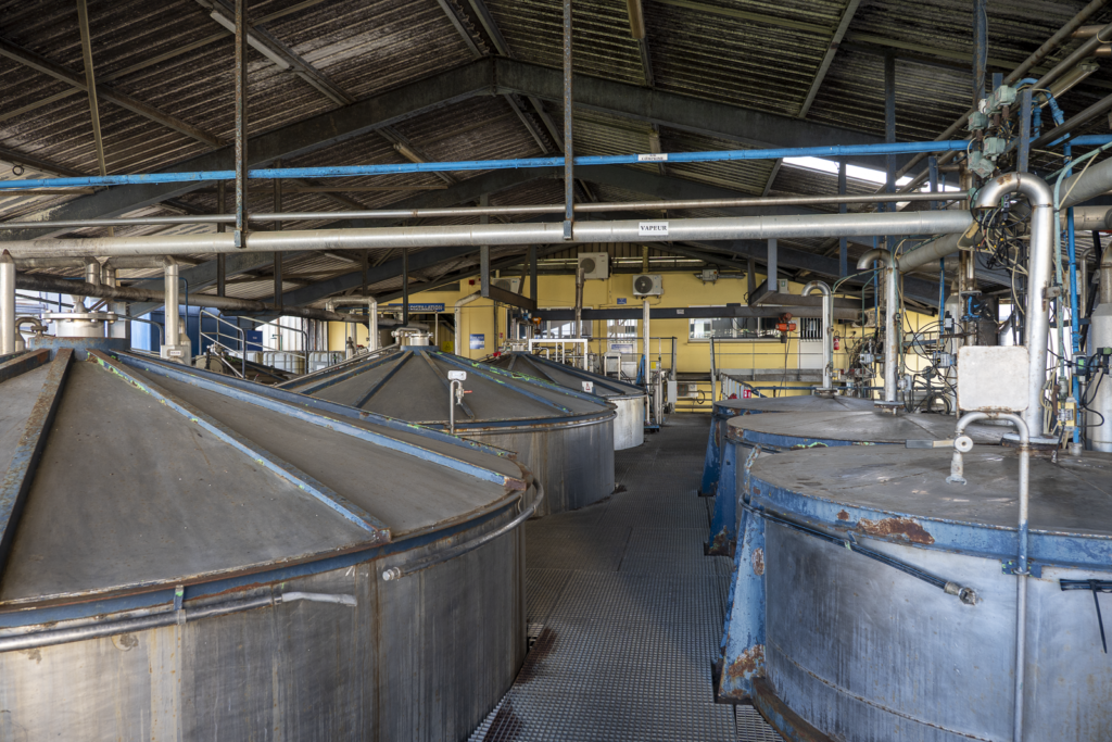 Savanna Distillery